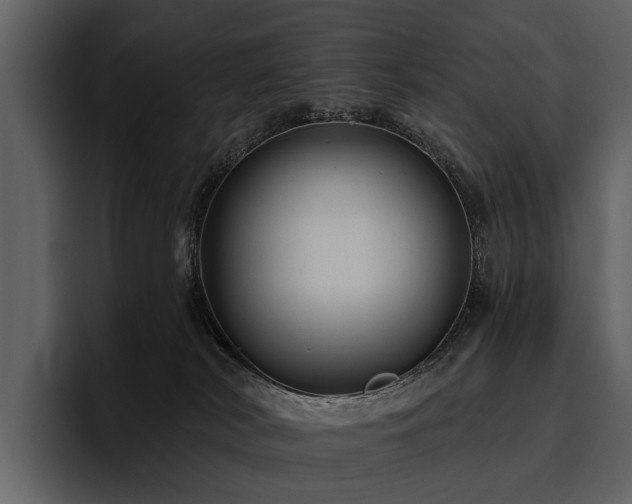 X0000095920038200801111244