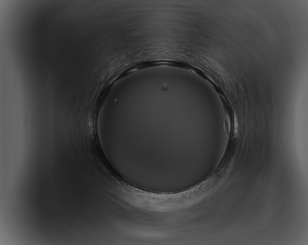 X0000095920039200801111244