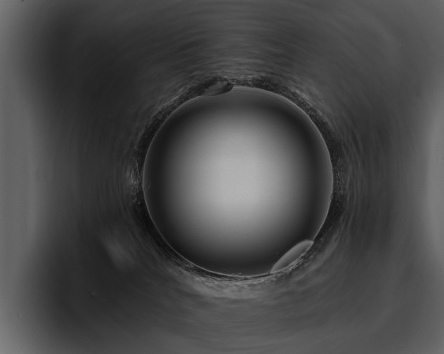 X0000095920040200801111244