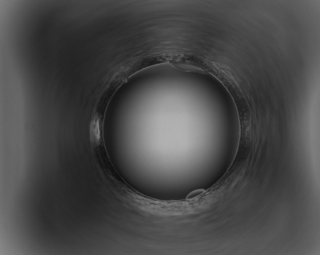 X0000095920042200801111244