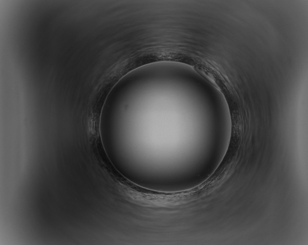 X0000095920044200801111244