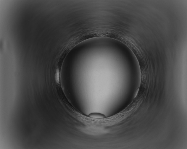 X0000095920046200801111244