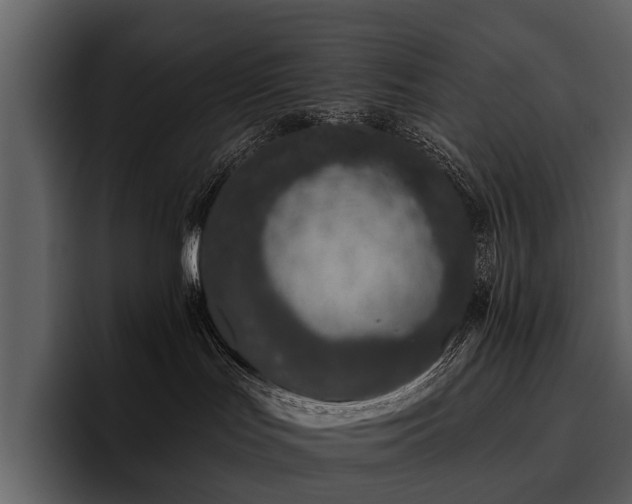 X0000095920047200801111244