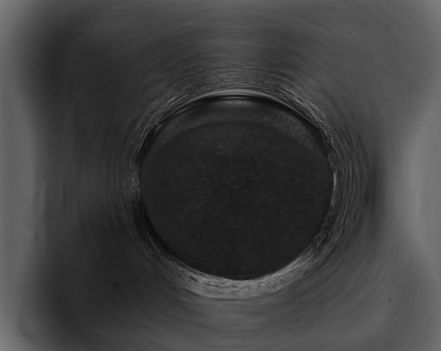 X0000095920048200801111244