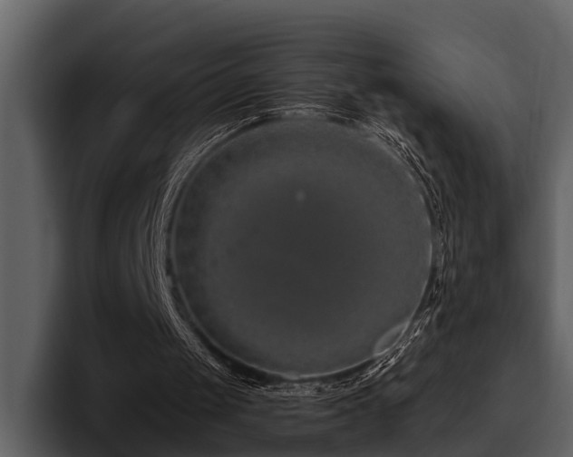 X0000095920049200801111243