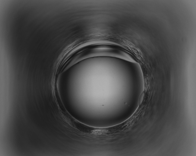 X0000095920051200801111243