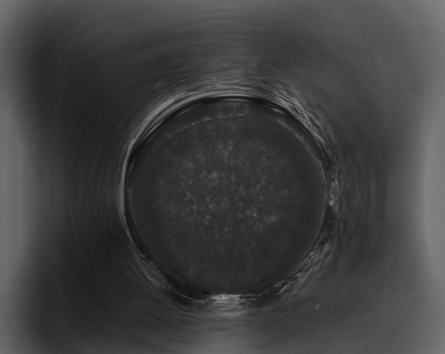 X0000095920052200801111243