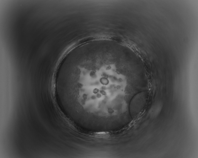 X0000095920053200801111243