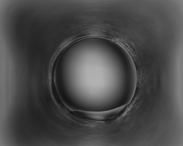 X0000095920055200801111243