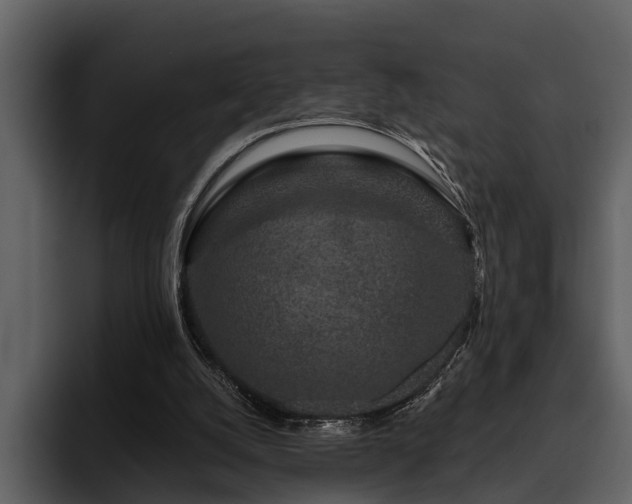 X0000095920056200801111243