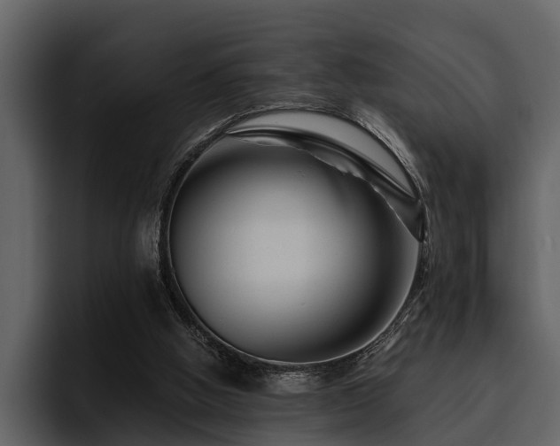 X0000095920058200801111243