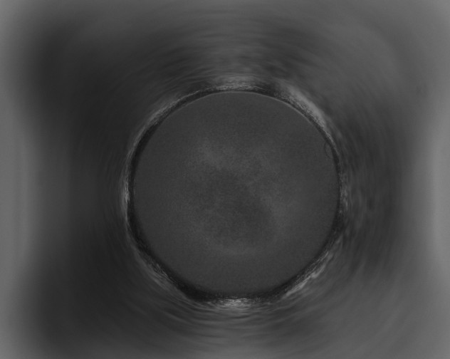 X0000095920059200801111243