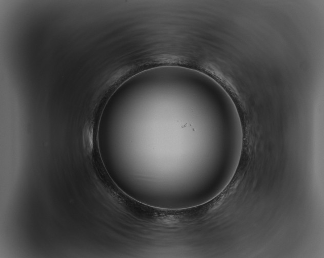 X0000095920062200801111243