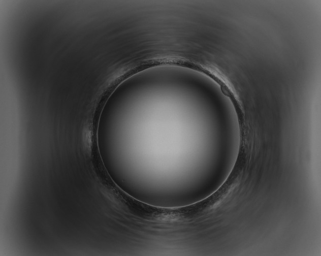 X0000095920063200801111243