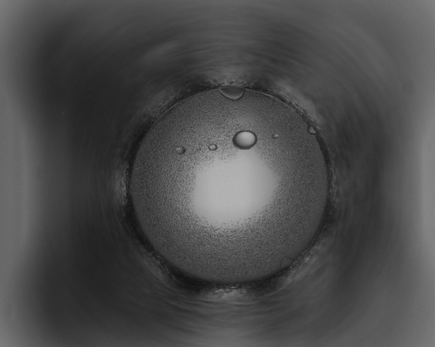 X0000095920065200801111243