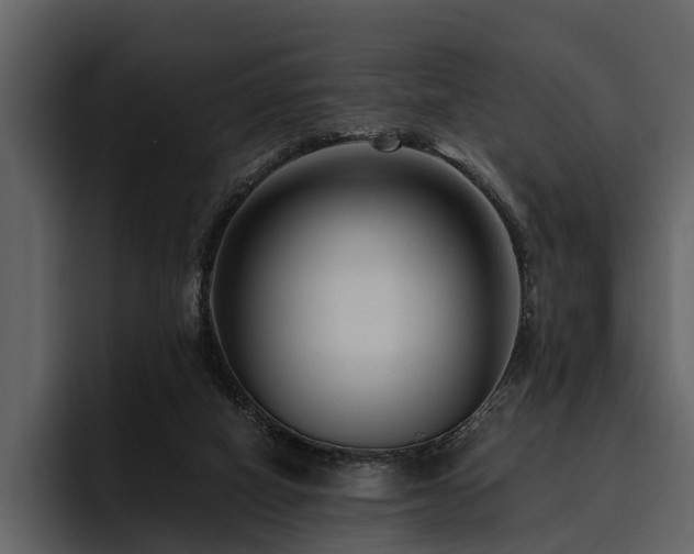 X0000095920066200801111243