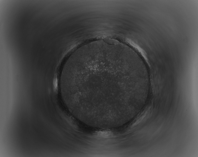 X0000095920067200801111243