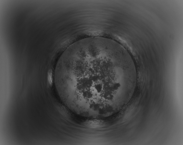 X0000095920069200801111243