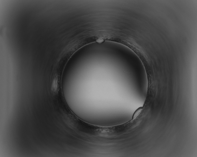 X0000095920074200801111243