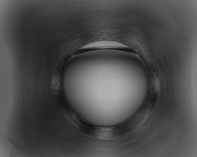 X0000095920081200801111243