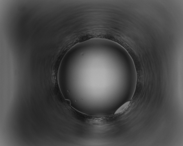 X0000095920086200801111243