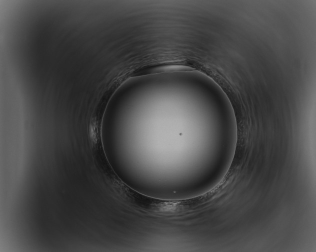 X0000095920090200801111244