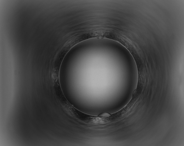 X0000095920091200801111244