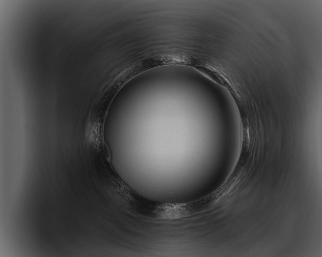 X0000095920093200801111244