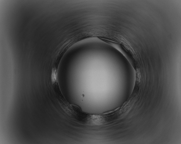 X0000095920095200801111244