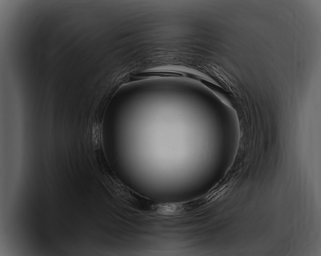 X0000095920096200801111244