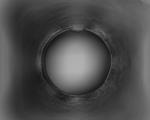 X0000095920098200801111243