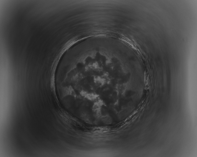 X0000095920099200801111243