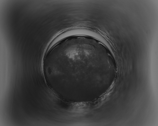 X0000095920100200801111243