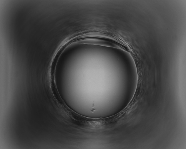 X0000095920102200801111243