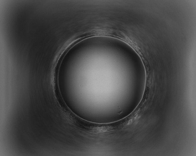 X0000095920103200801111243