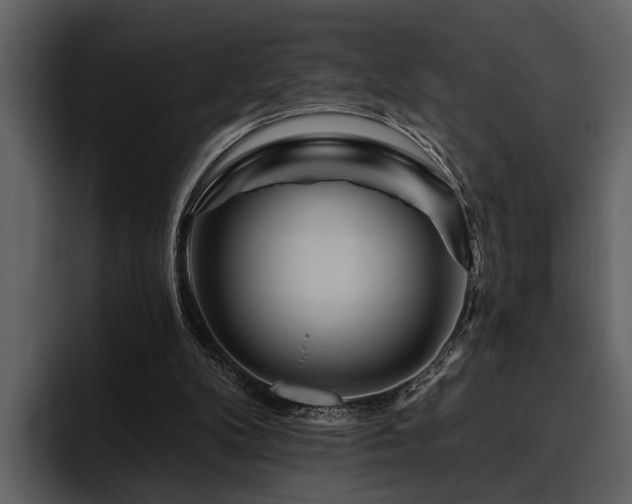 X0000095920104200801111243