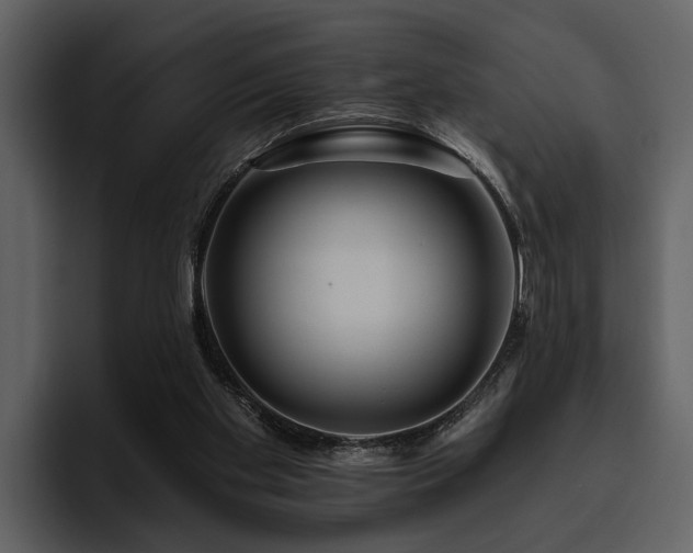 X0000095920109200801111243