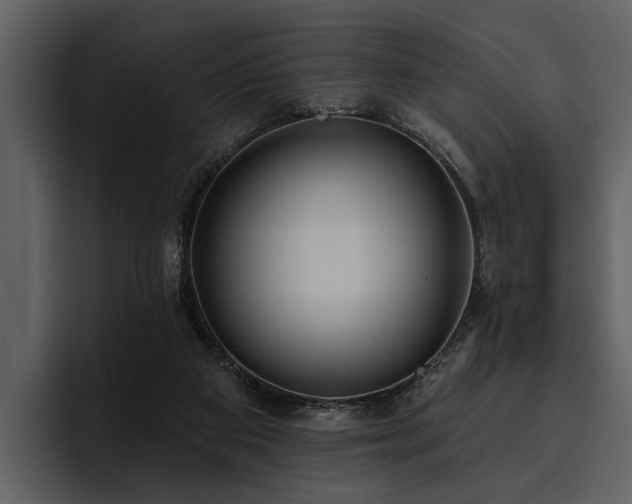 X0000095920113200801111243