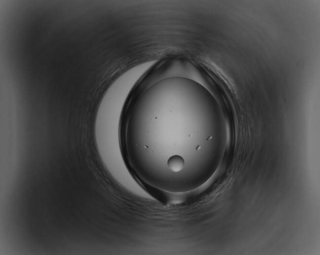 X0000095920117200801111243