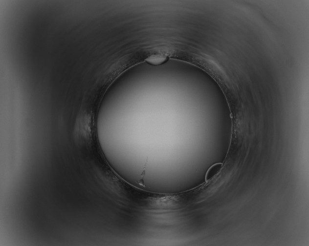 X0000095920122200801111243