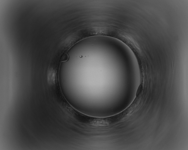 X0000095920123200801111243