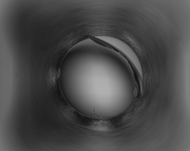 X0000095920125200801111243