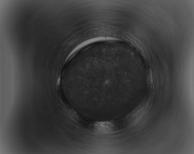 X0000095920137200801111242