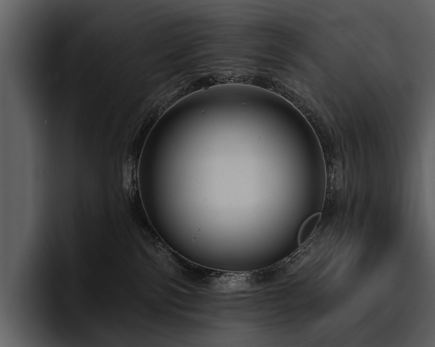 X0000095920138200801111242