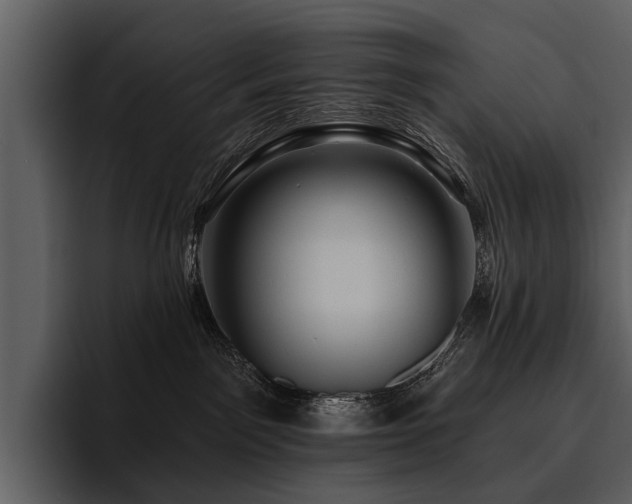 X0000095920141200801111242