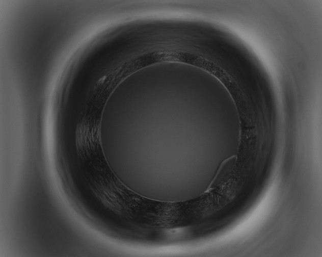 X0000095920143200801111242