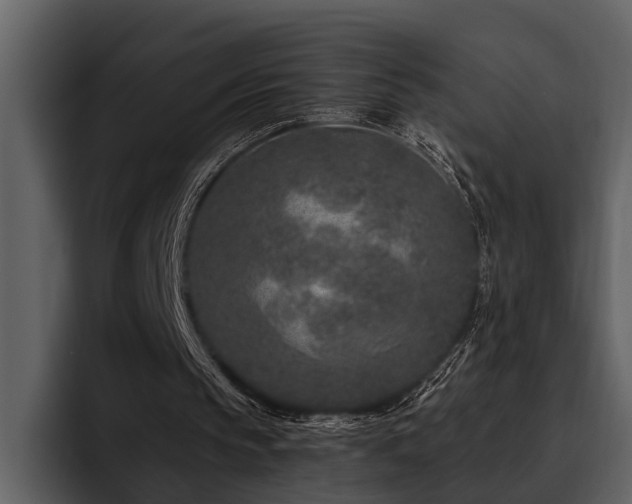 X0000095920145200801111242