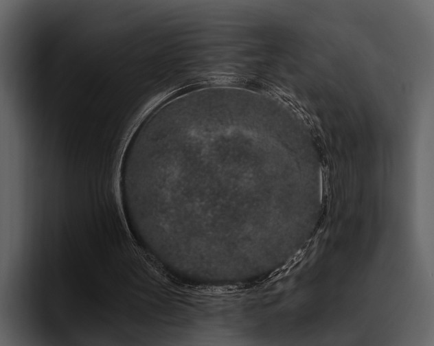 X0000095920147200801111242