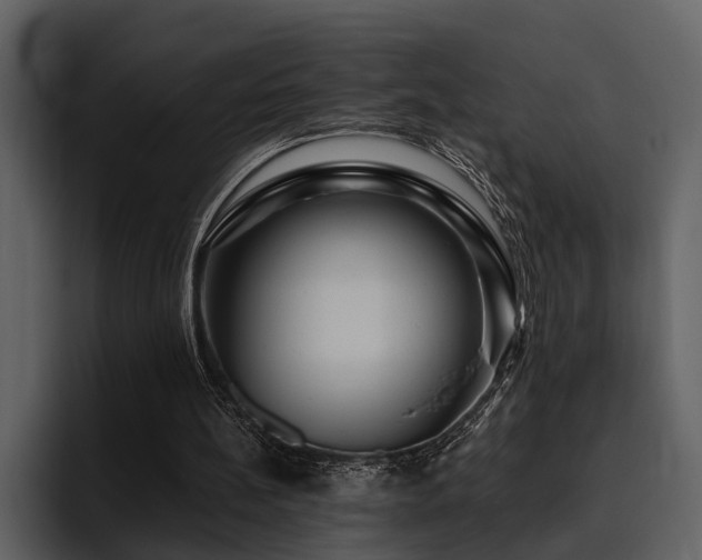 X0000095920148200801111242