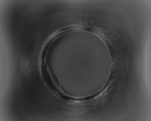 X0000095920149200801111242